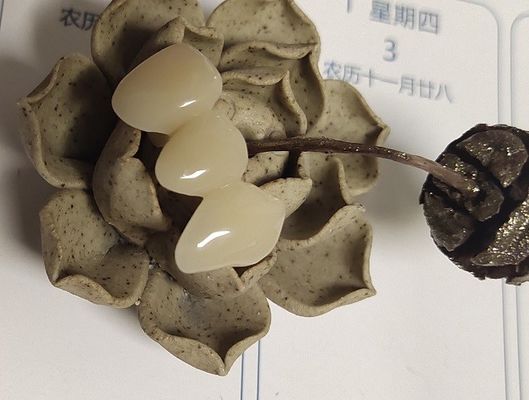 Mahkota Komposit Berbasis Resin Warna Alami